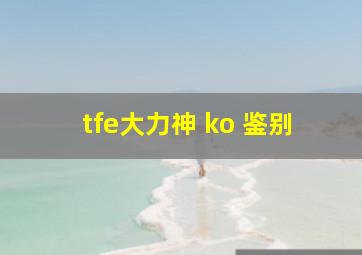 tfe大力神 ko 鉴别